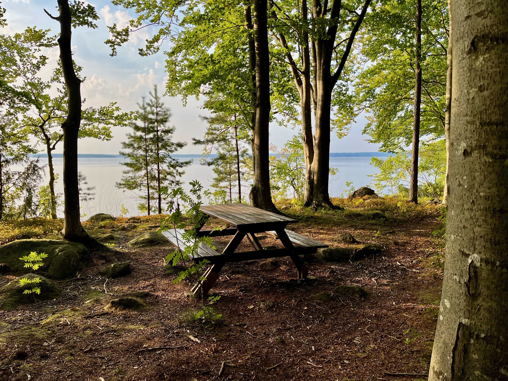 Bänk vid en stig med sjön i bakgrunden
